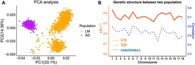 Genomic Prediction Using LD-Based Haplotypes in Combined Pig Populations